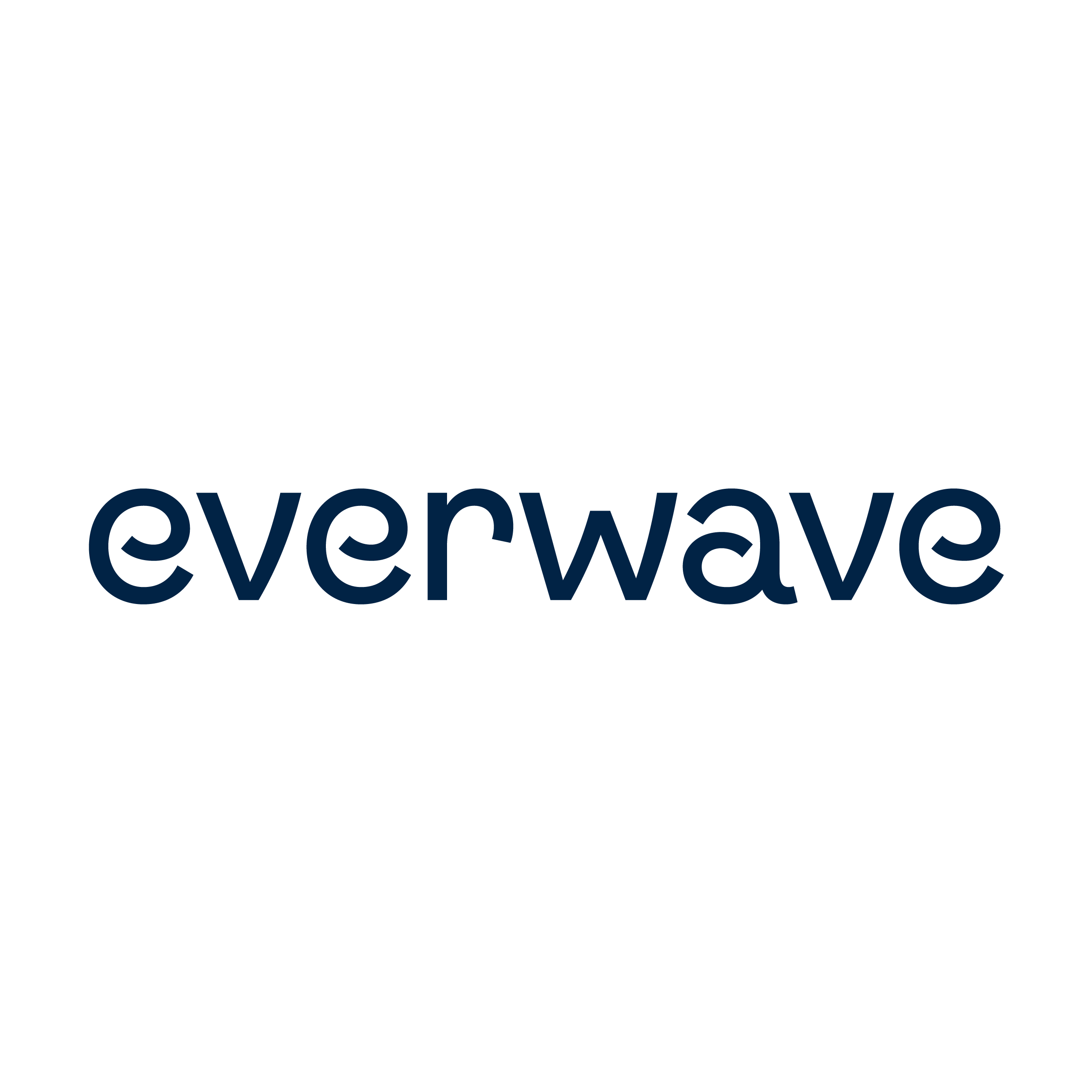 commercetools Cleaning oceans with Everwave
