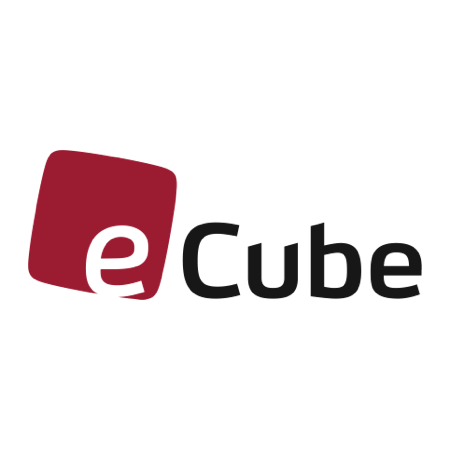 commercetools Partner Logo ecube