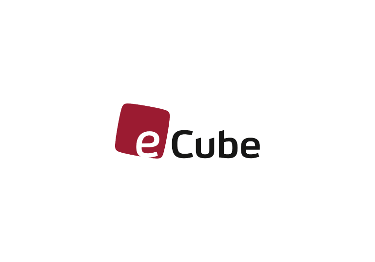 e-cube.png