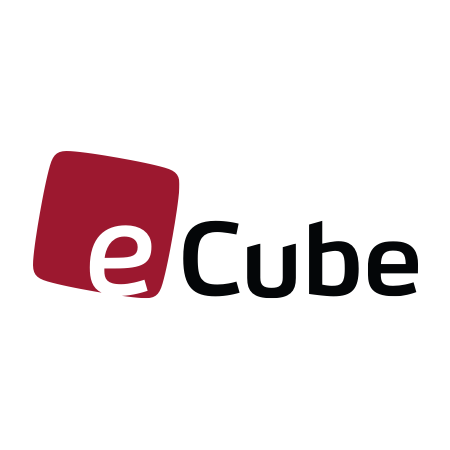 commercetools Partners Logo eCube