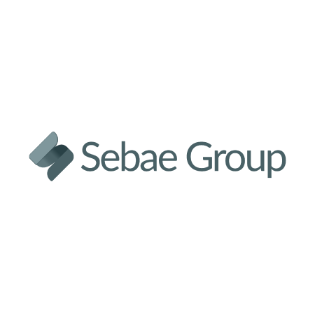 commercetools Partners Logo Sebae Group