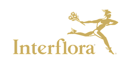 How commercetools helped cultivate Interflora Australia's digital journey from petals to pixels
