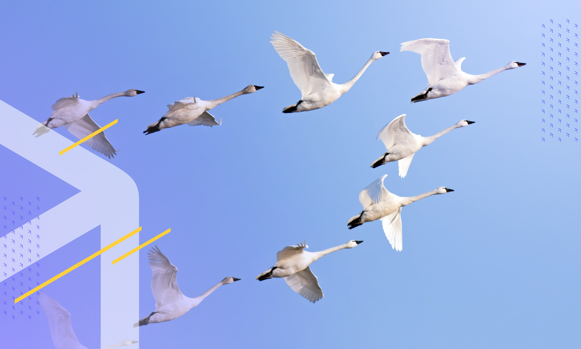 Four stories: How the right partners make migration to composable commerce much easier