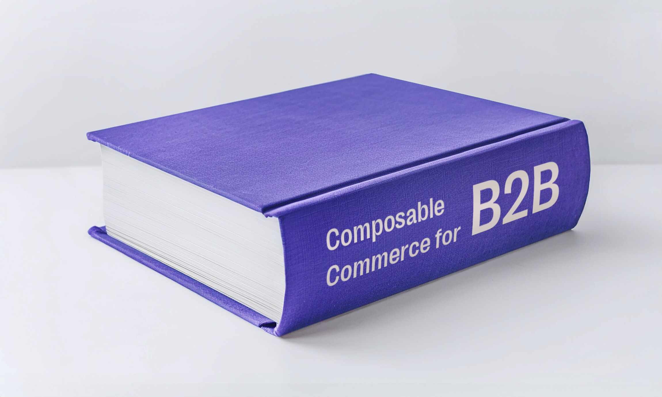 Composable commerce for B2B 101