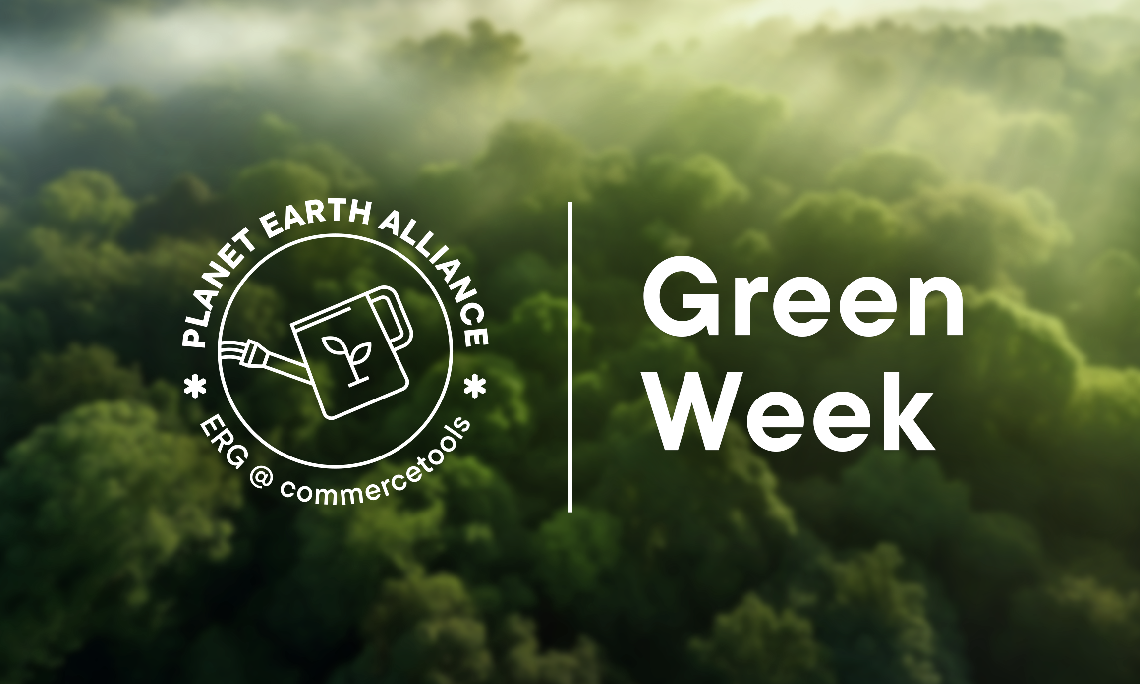 Inside commercetools' Green Week