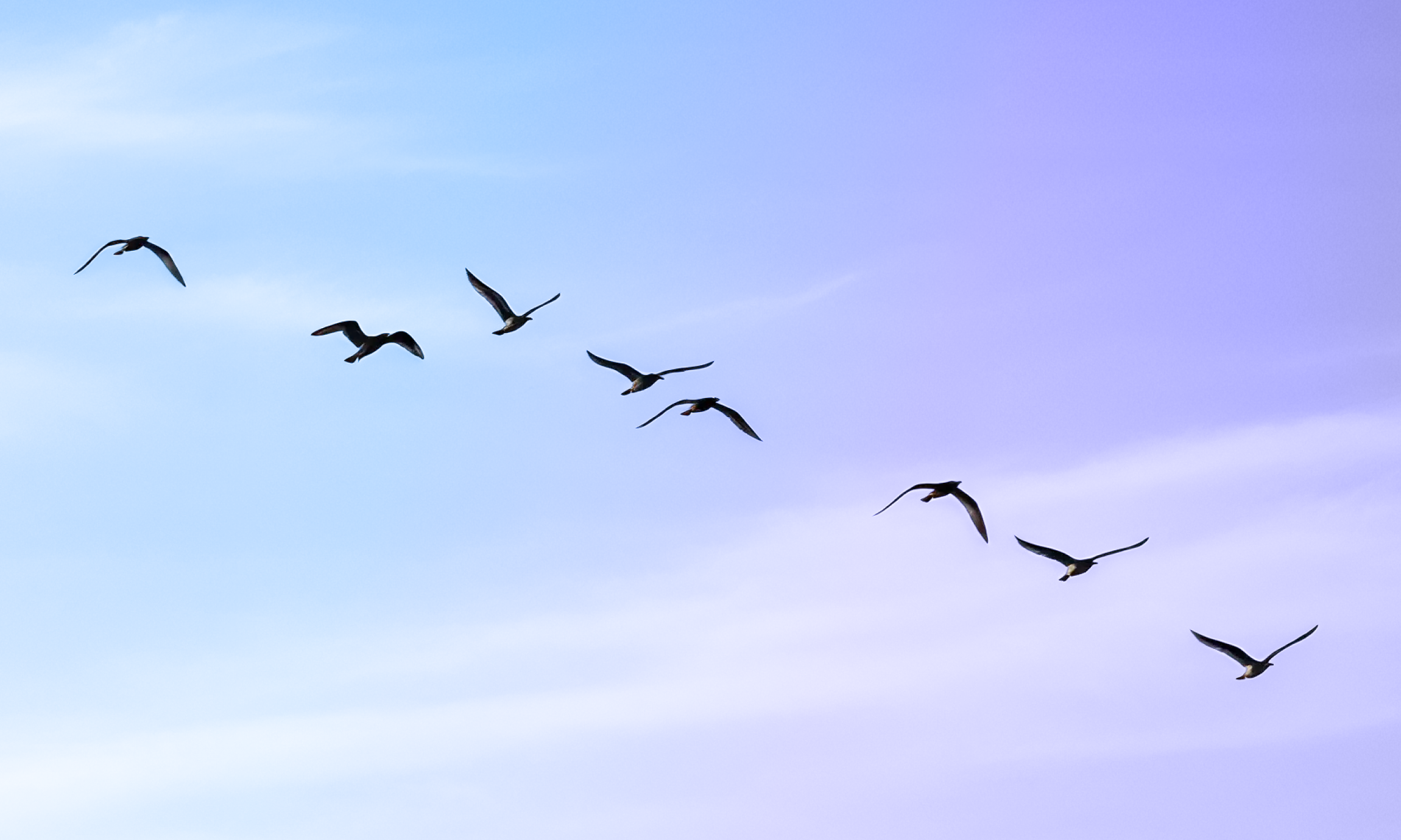 SAP Commerce migration timeline showing shift to composable commerce