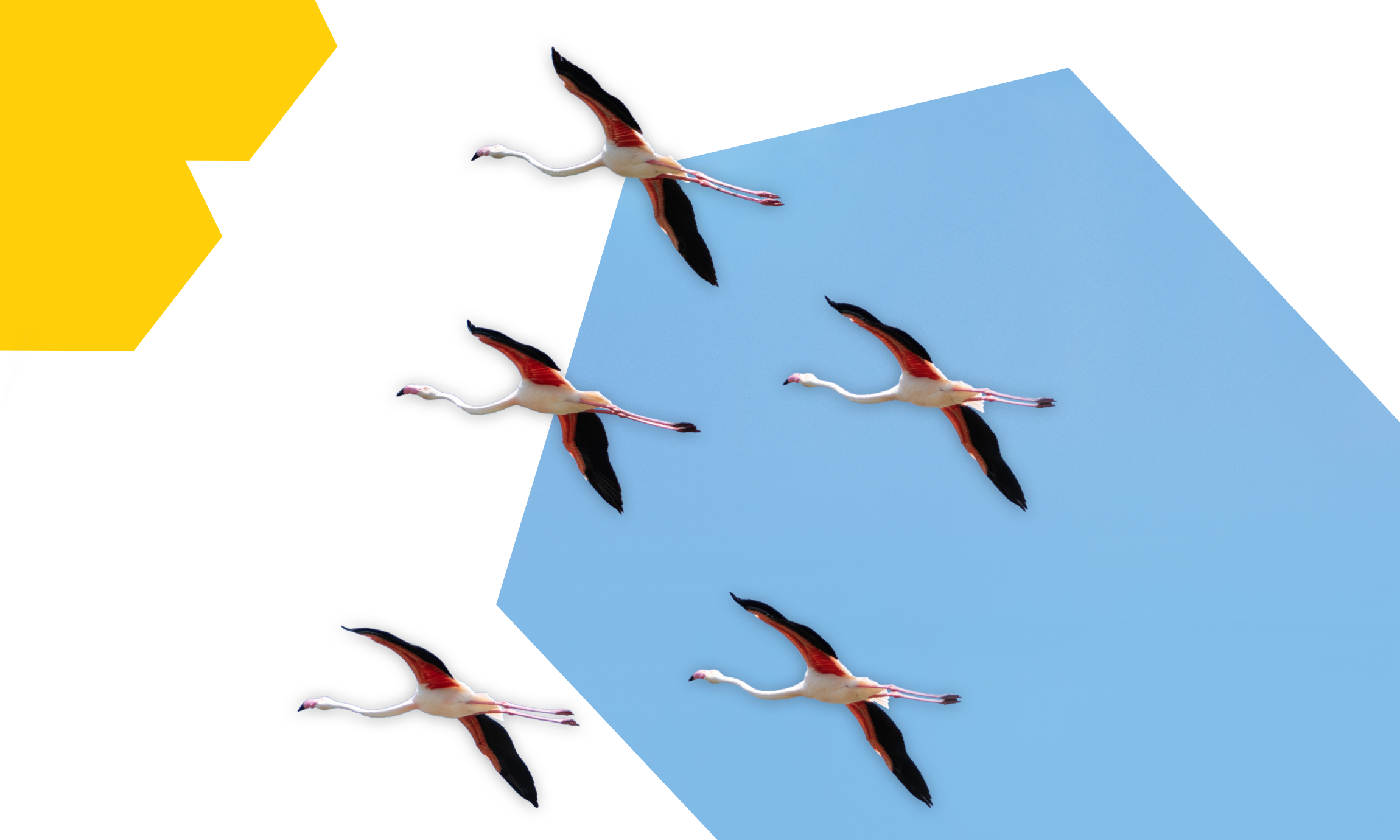 5 reasons why leading companies migrate from SAP to commercetools