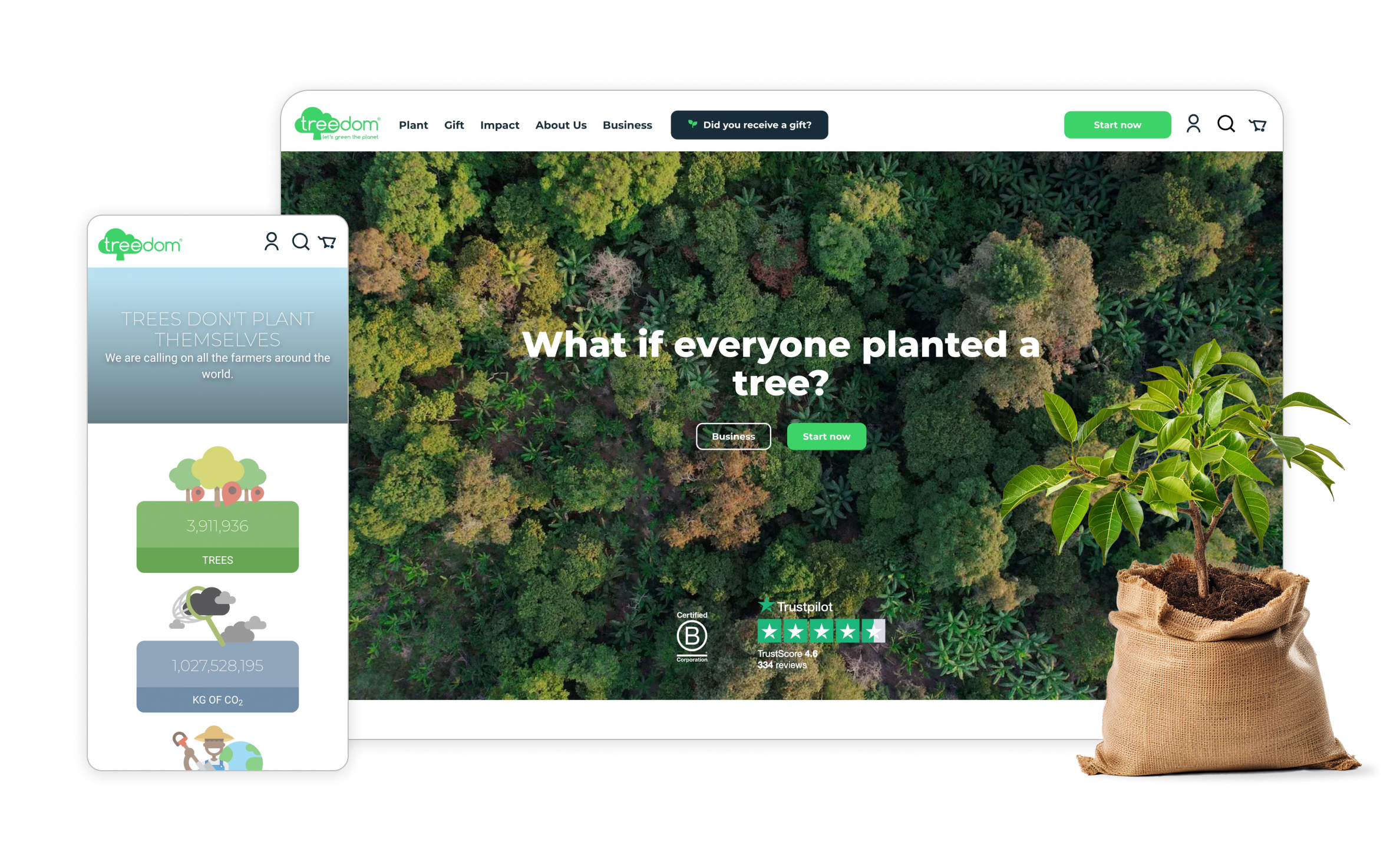 How Treedom branched out to commercetools and successfully migrated to composable commerce in just 5 months