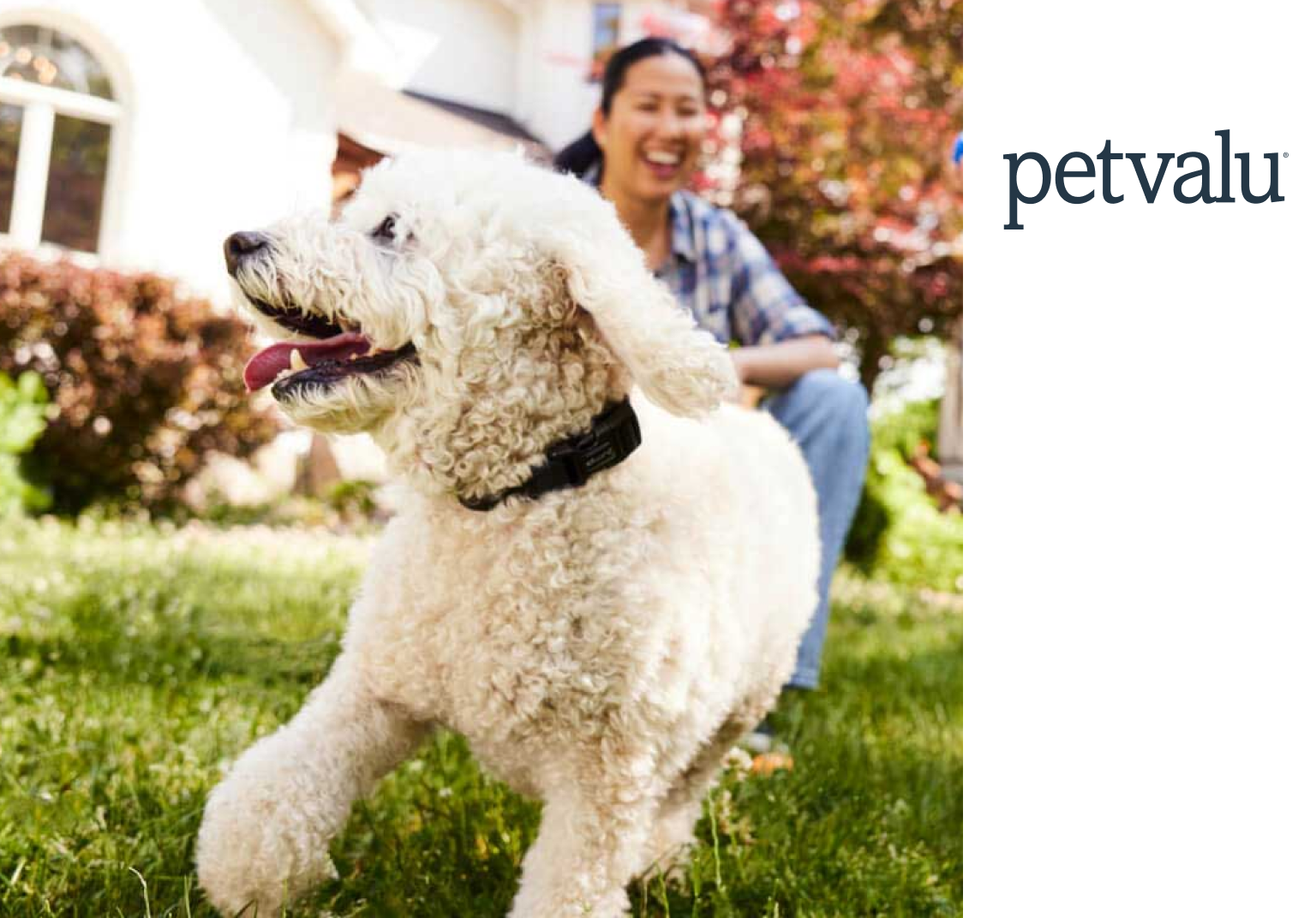 Pet Valu is Canada’s leading retailer of pet food and pet-related supplies, with 800+ stores nationwide.