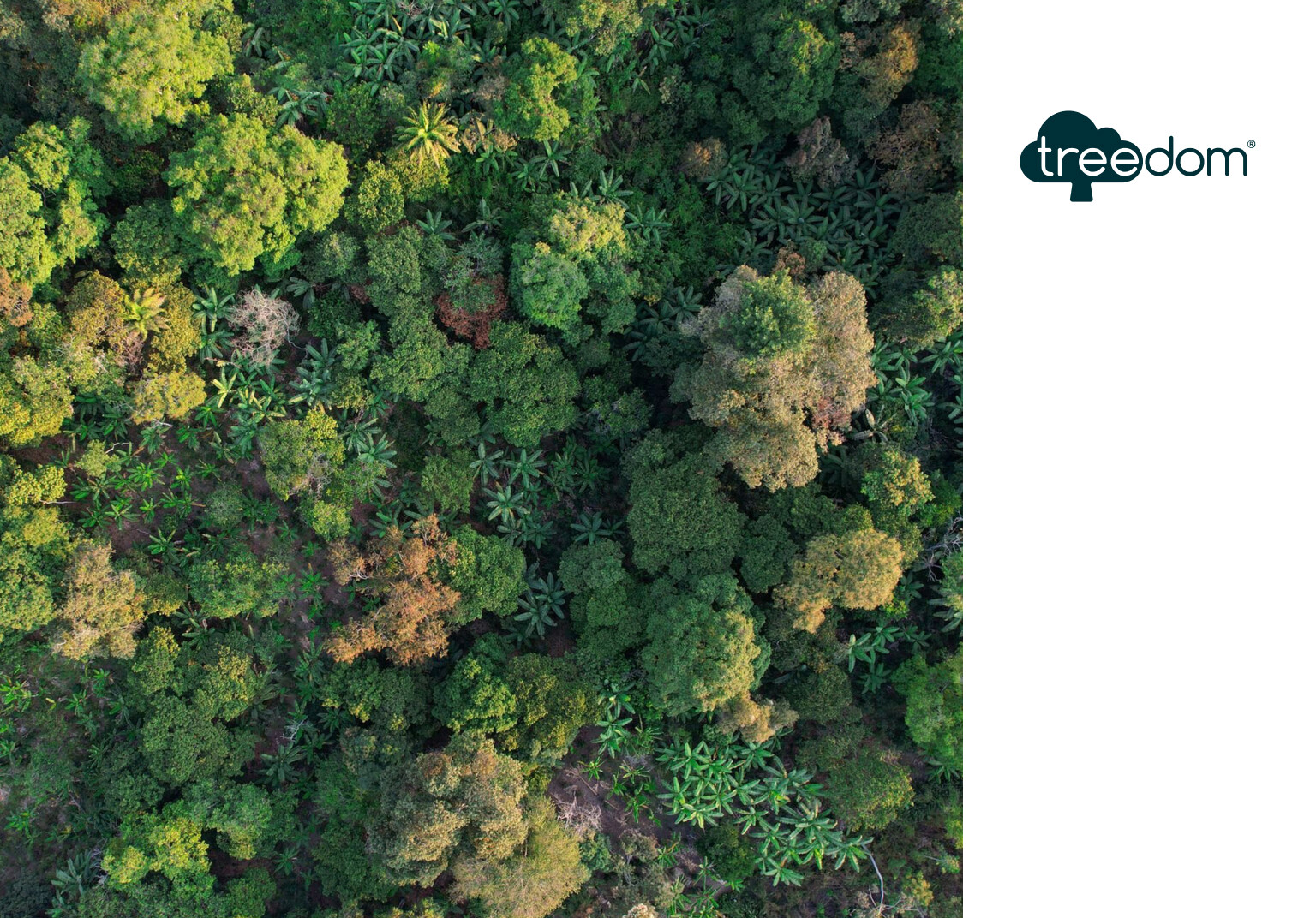 Treedom customer story