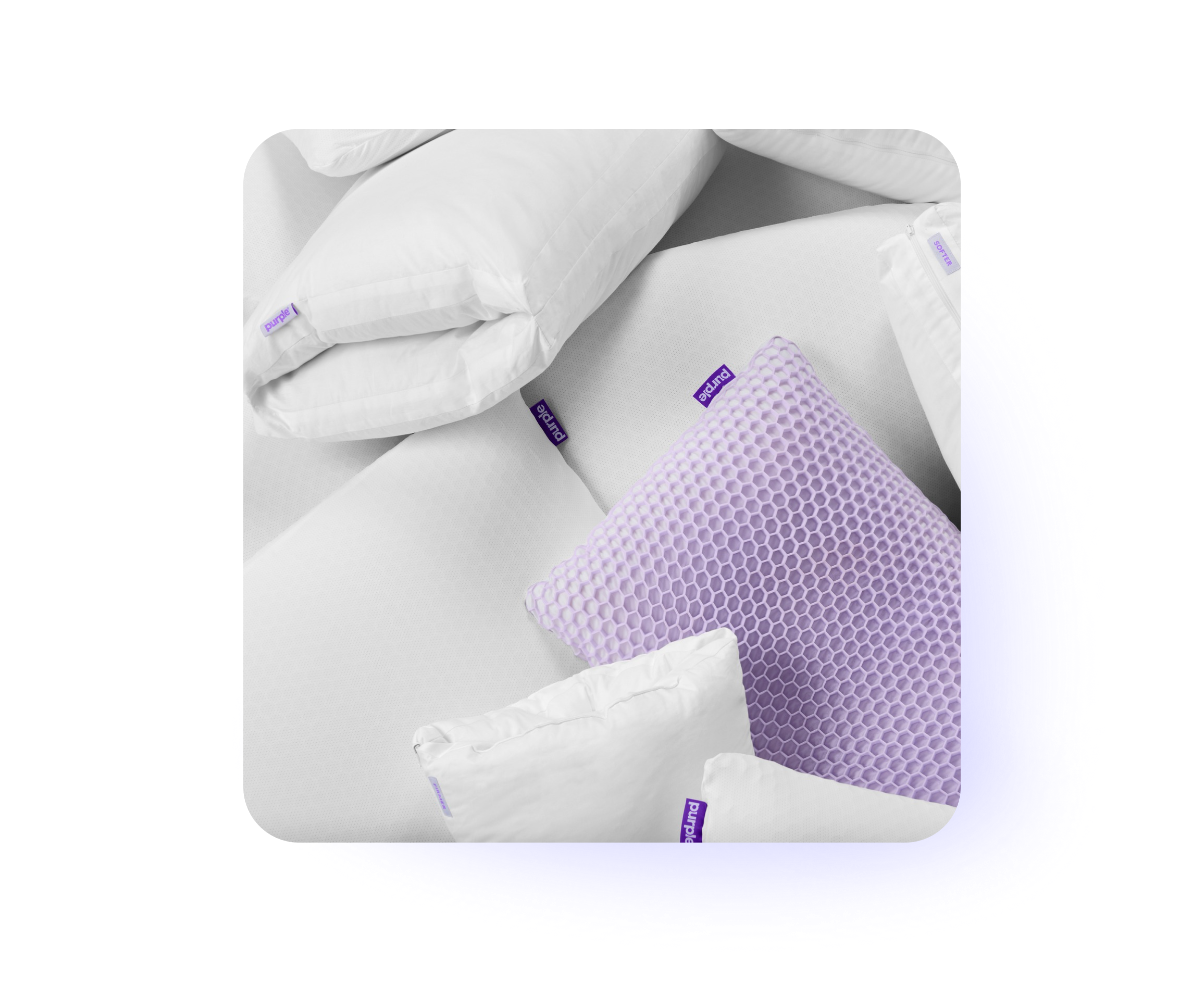 Purple Customer Story
