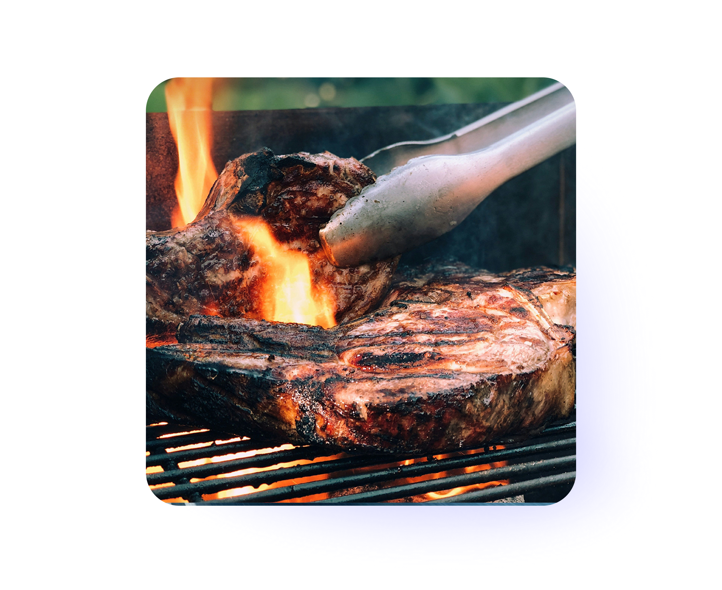 Wild Fork Foods Customer Story