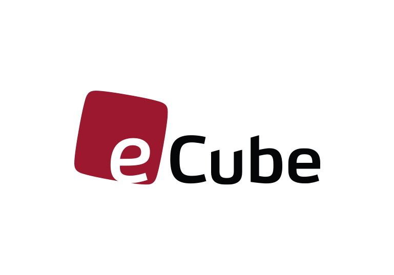 commercetools' Partner eCube