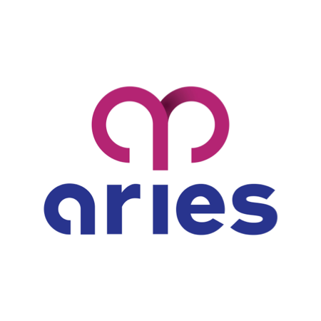 commercetools Partners Logo aries