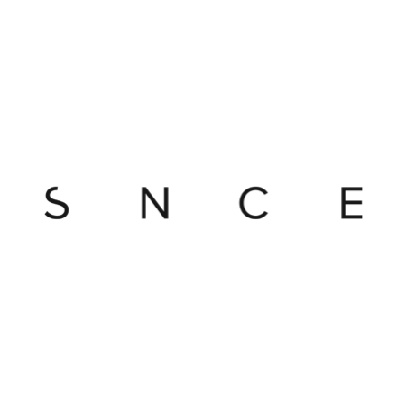 commercetools Partner Logo snce