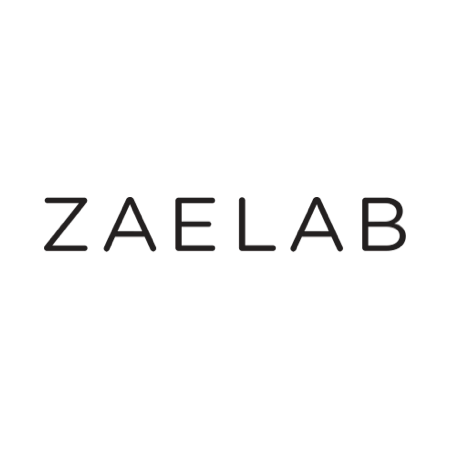 commercetools Partner Logo zaelab