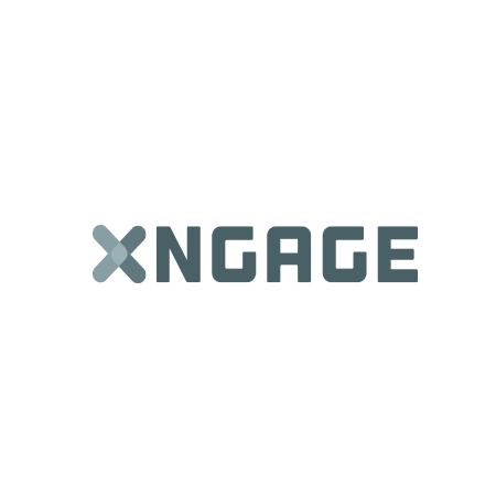commercetools Partners Logo XNGAGE