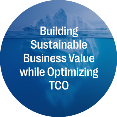 Building Sustainable Business Value while Optimizing TCO