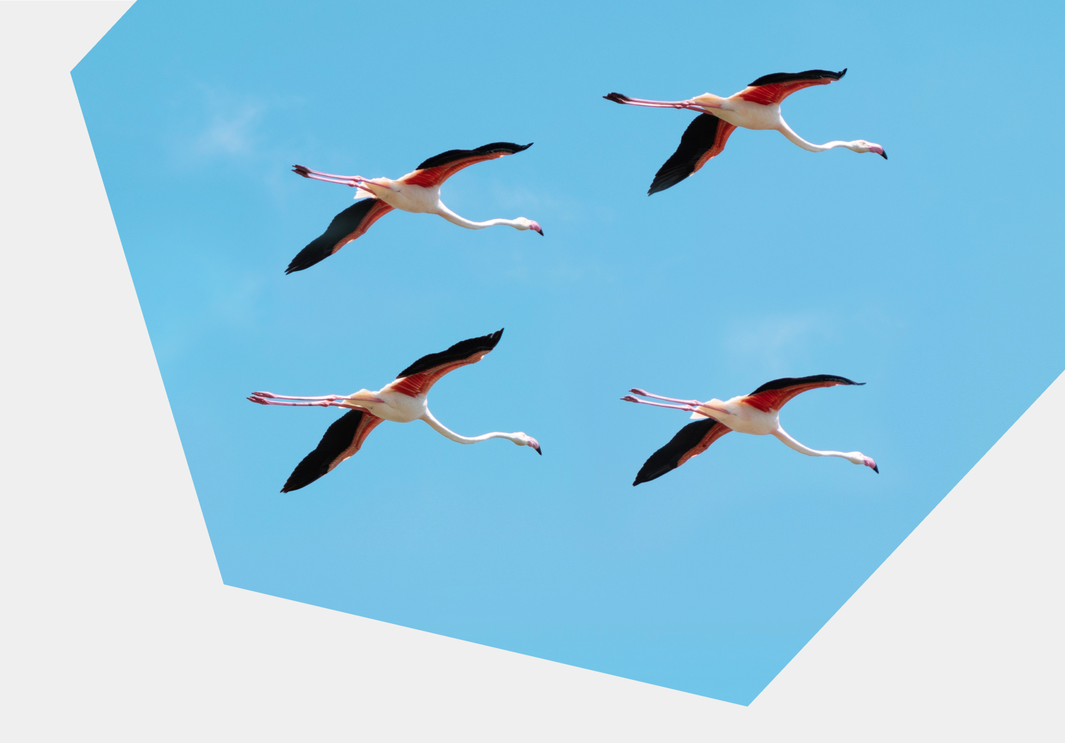 How to Migrate from SAP to commercetools
