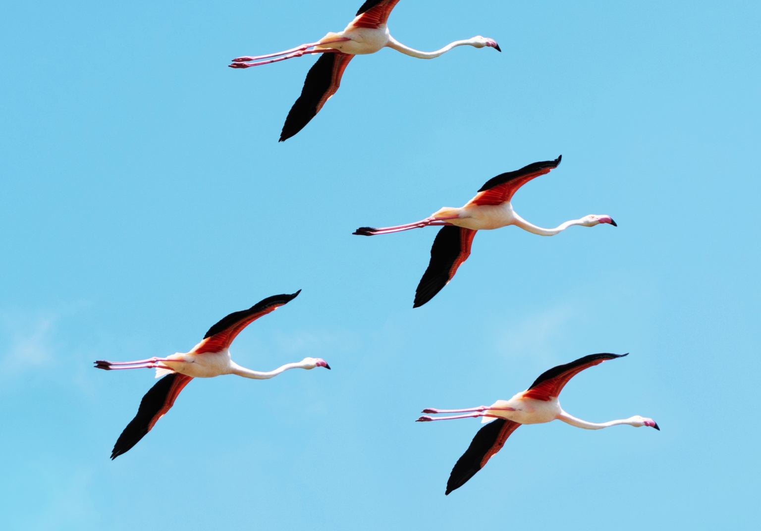 How to Unlock Your Business Potential by Migrating from SAP to commercetools