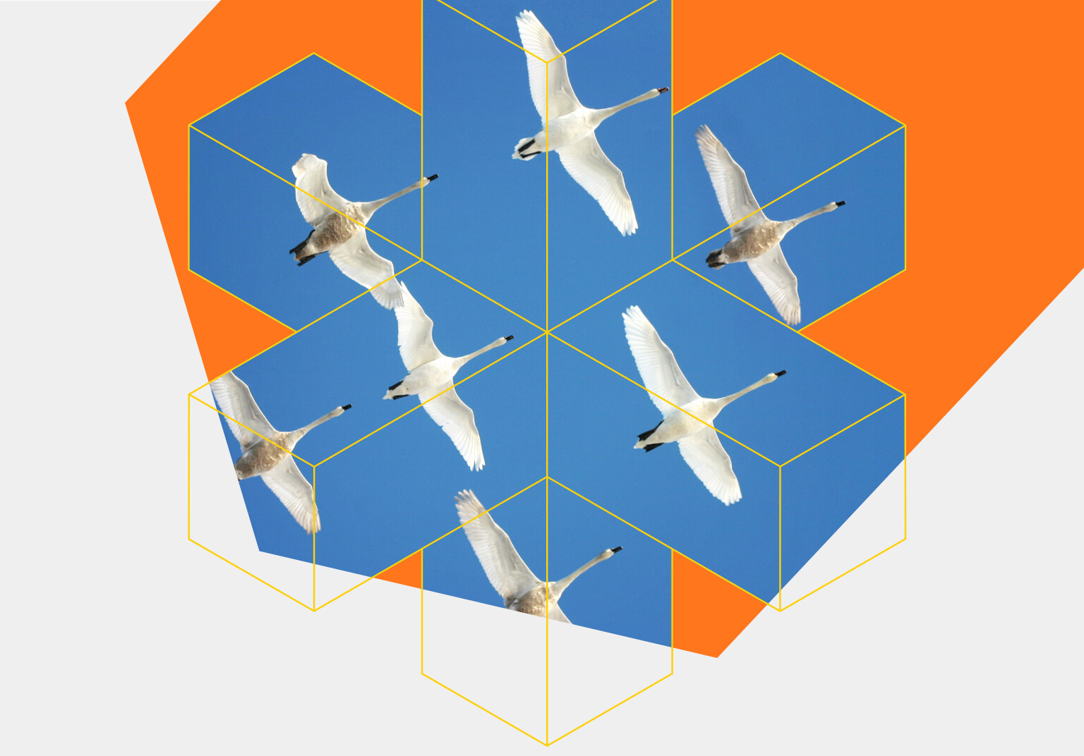 commercetools White Paper Migrating from Magento to commercetools