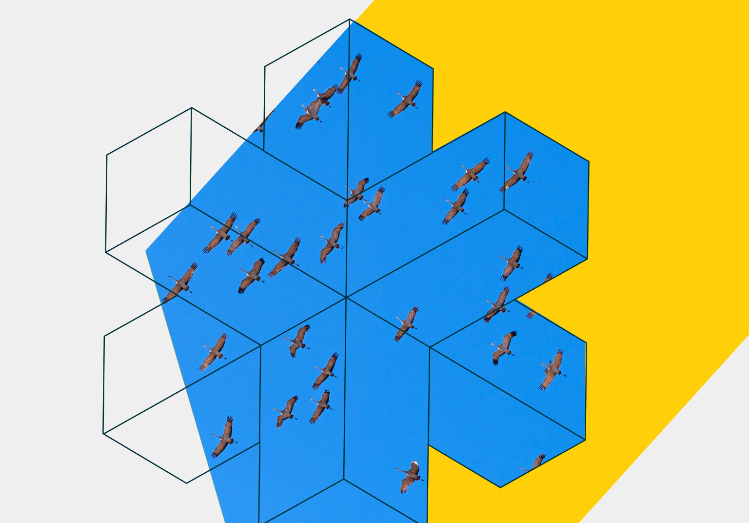 white paper migration to commercetools