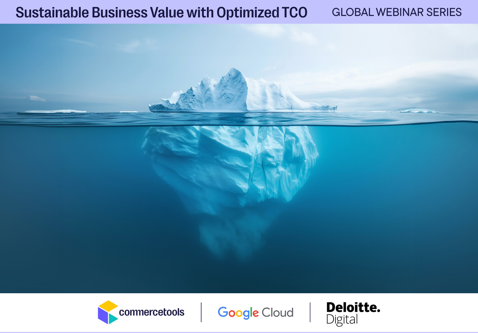 Building Sustainable Business Value while Optimizing TCO