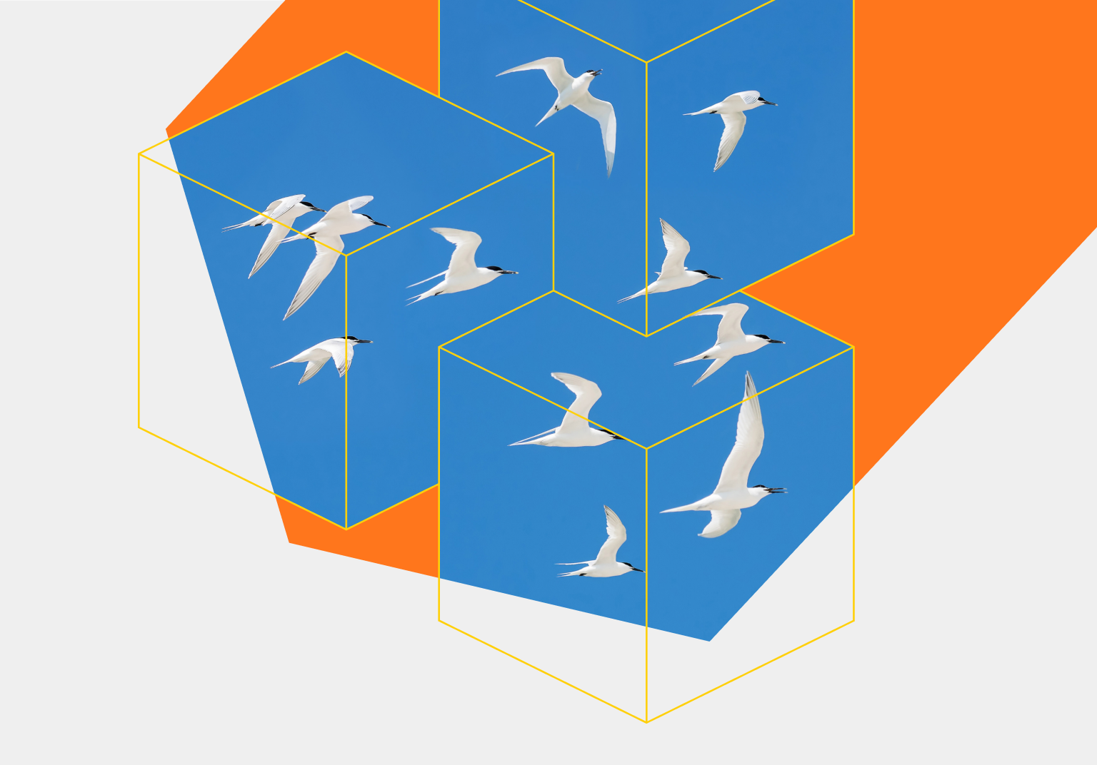 HCL Commerce Cloud Migration