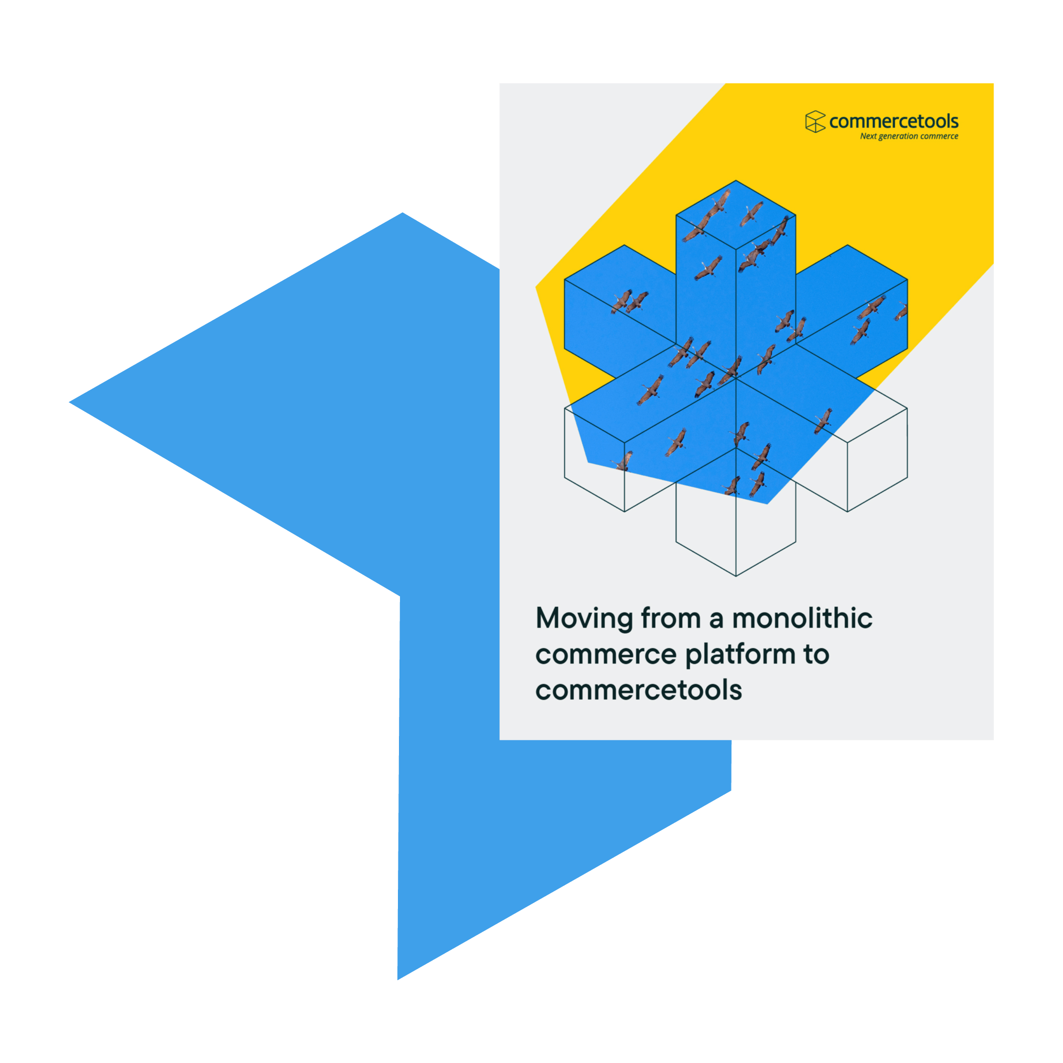 commercetools Commerce Possibilities IT White Paper